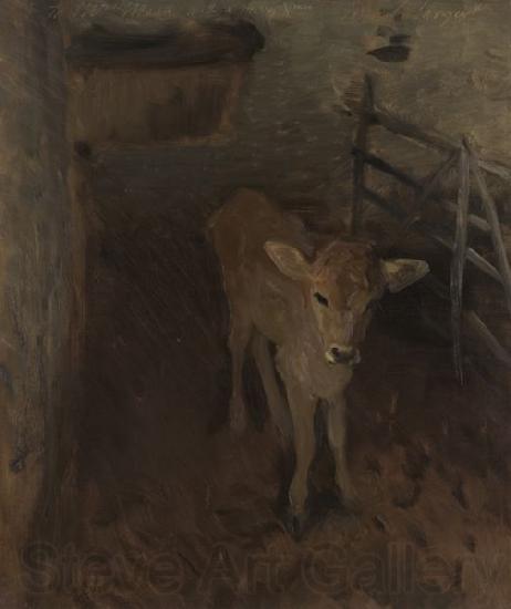 John Singer Sargent A Jersey Calf France oil painting art